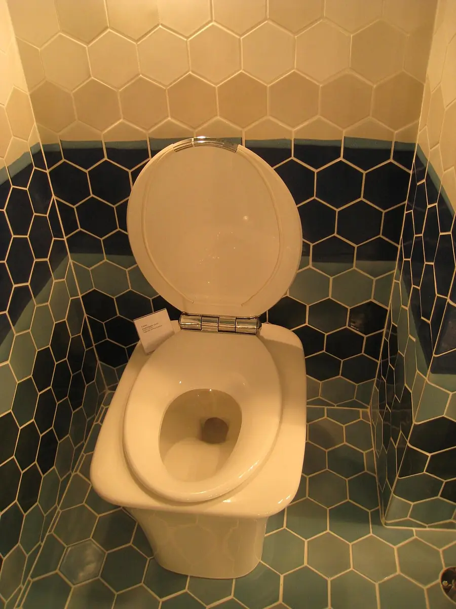 Toilet on a black hex-tile floor in a display bathroom