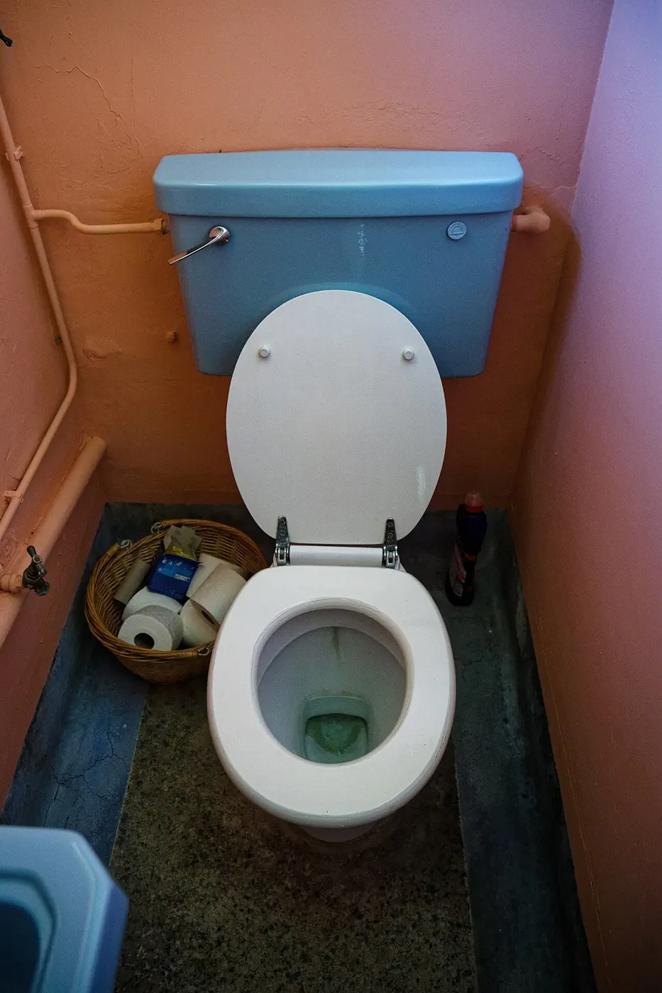 Small toilet room with a white flush toilet and tiled wall