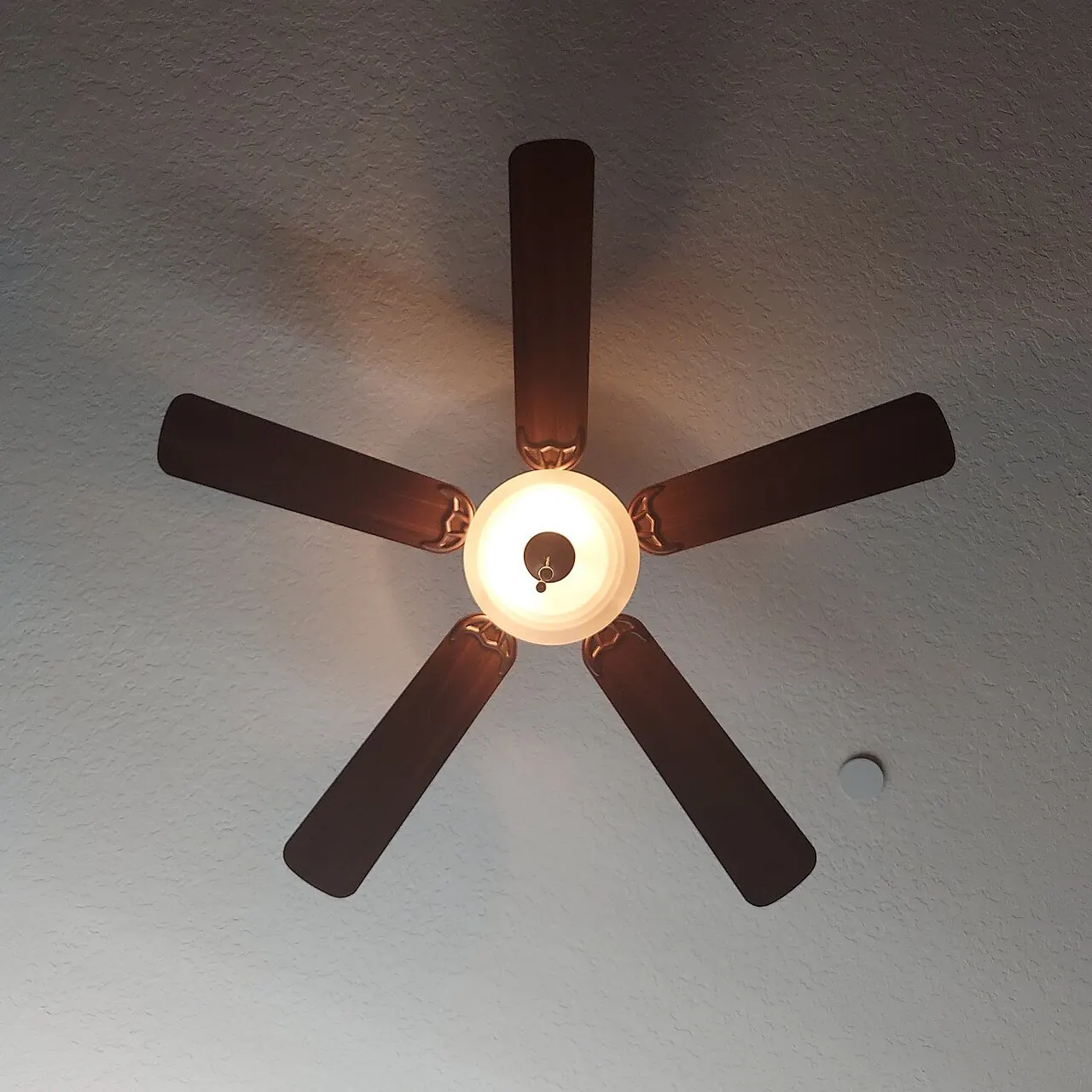 Modern ceiling fan with its light turned on
