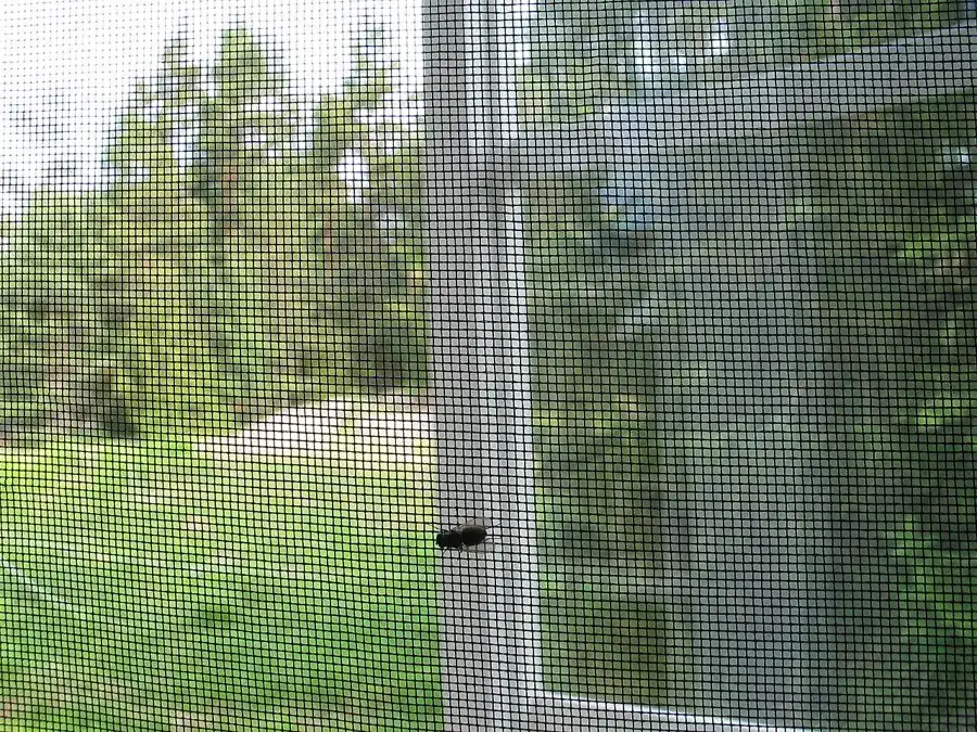 Window insect screen mesh in an aluminum frame