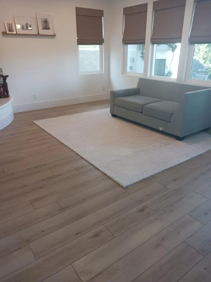 Living room windows fitted with fabric roller shades